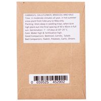 Sandveld Seeds Broccoli Green Sprouting